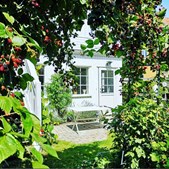 Er Nærum Hovedgade 86 i Nærum drømmehjemmet? Se de dyreste boliger til salg nu for op til 7.995.000 kr