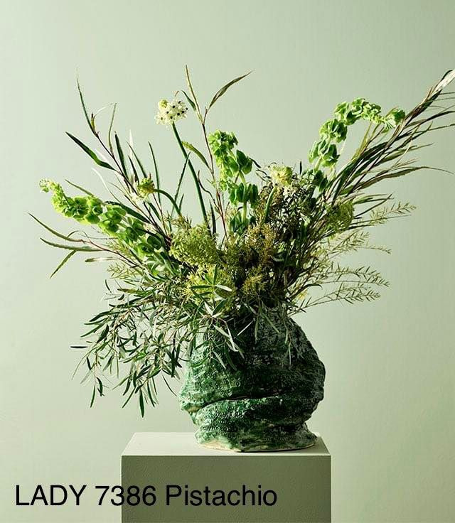 Opdatér dig her: Det nyeste fra Frederikshavn