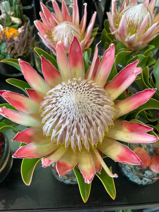 Se dagens updates fra Roslev her