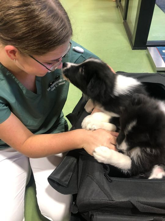 Opslagstavlen: Nyeste opdateringer fra Herning