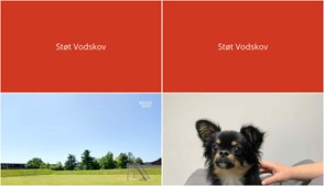 Nyt fra Vodskov Dyreklinik v/Thorstein Arnason og Mæglerhuset