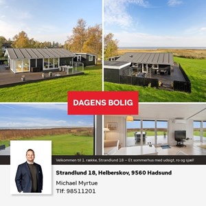 Opslagsbillede
