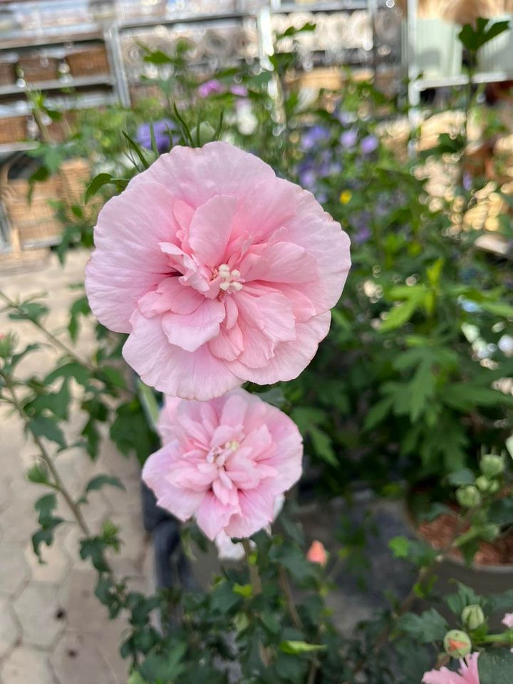 Opslagstavlen: Nyeste opdateringer fra Horsens