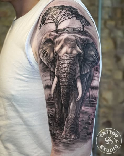 Tattoo Studio 96 Aalborg deler et realistisk elephant piece lavet af Anastasia