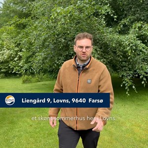 Opslagsbillede