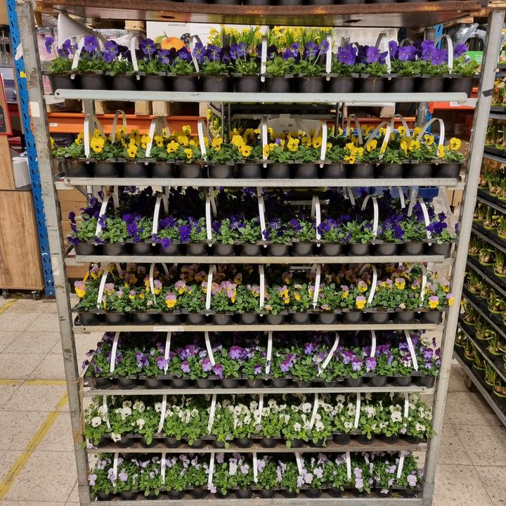 En finger på pulsen i Odder