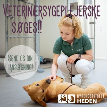 Opslagsbillede