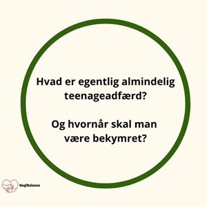 opslagsbillede