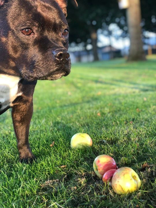 Se dagens updates fra Herning her