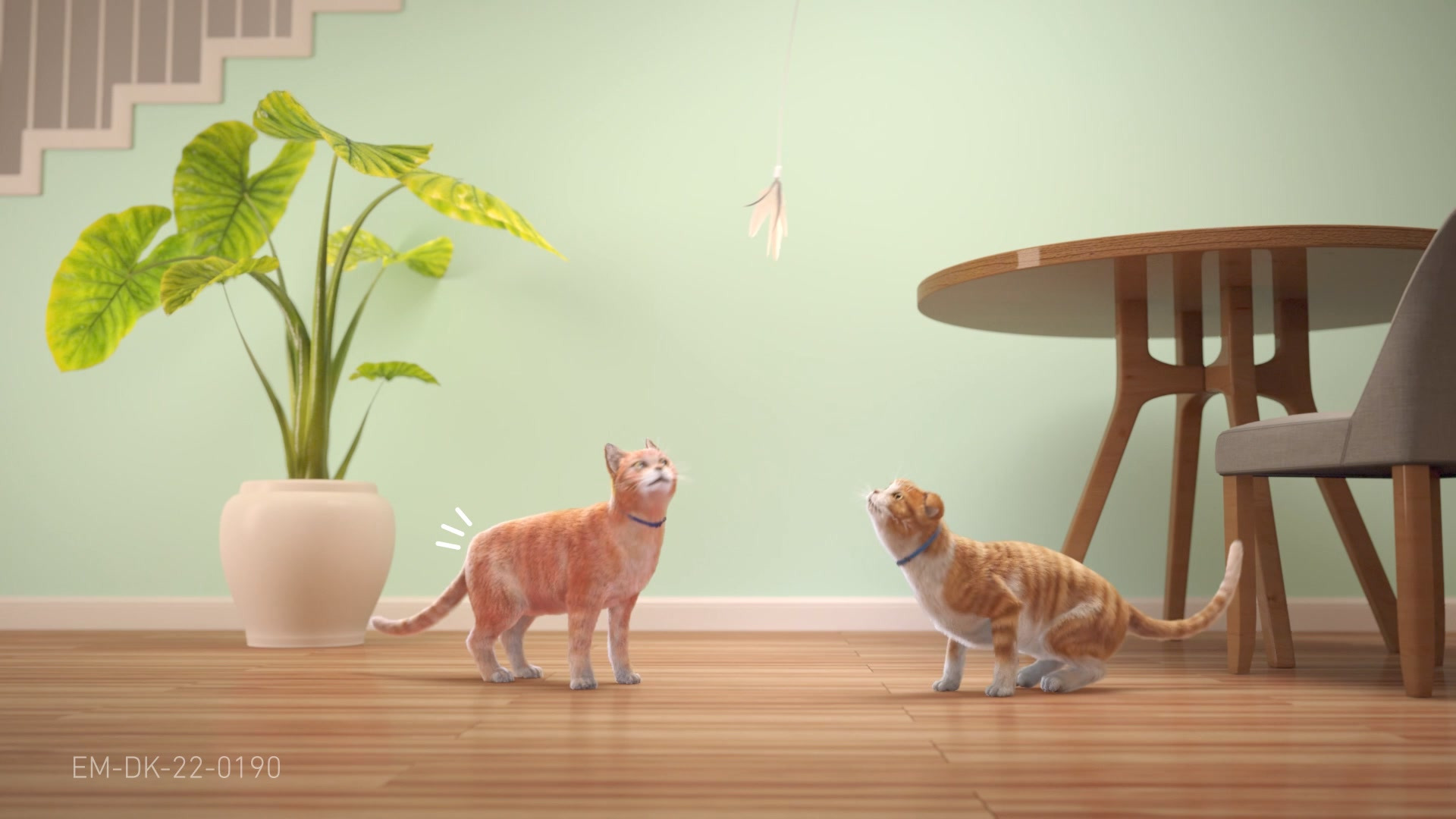 Center Dyreklinik opfordrer til opmærksomhed på gigt hos katte i senior september