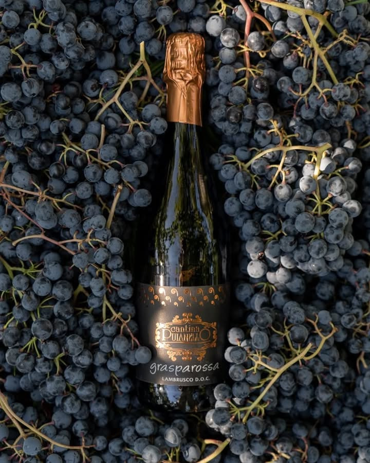 Oplev den autentiske smag af Emilia Romagna med Lambrusco fra Lahvino Wine & Spirits