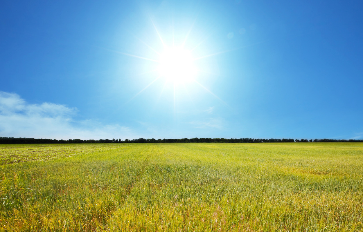 God nyhed: Grønt fristed på vej