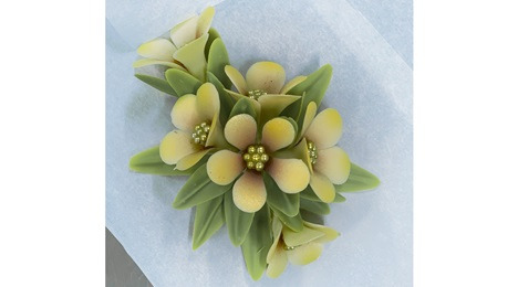 Lær at skabe kunstværker i chokolade hos Andrea Søllested Chocolatier