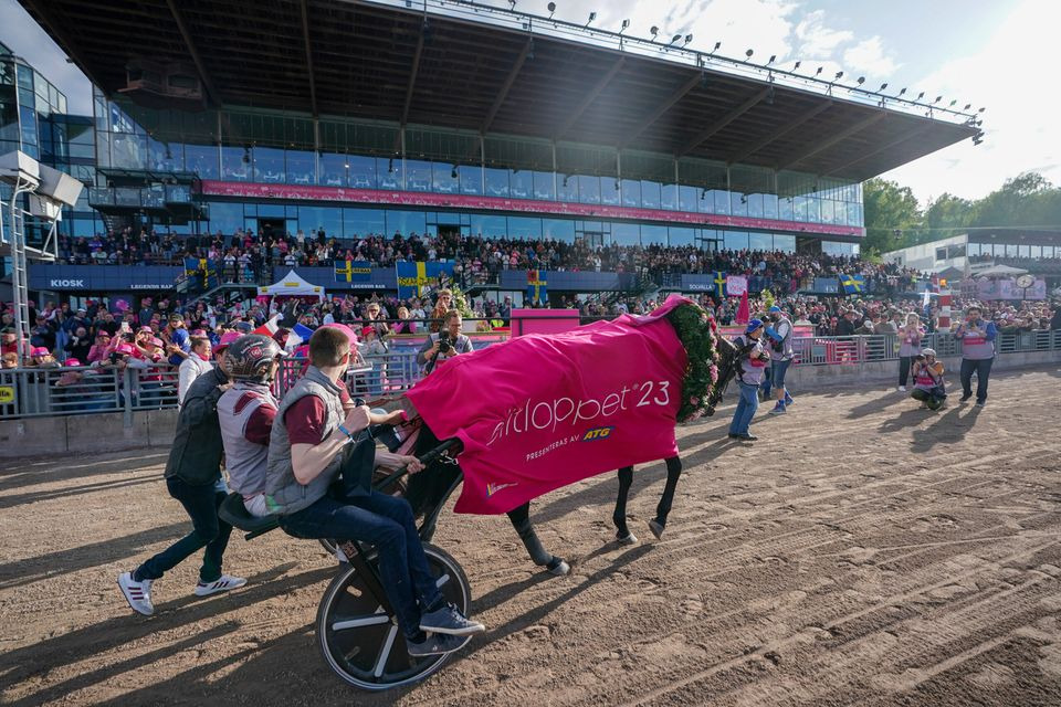 Dansk hest med tilhørsforhold til Skive kan søndag vinde 3,3 millioner kroner