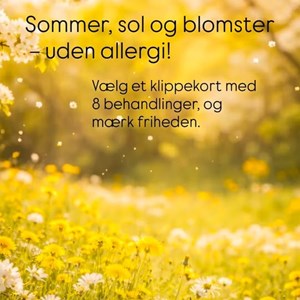 Opslagsbillede