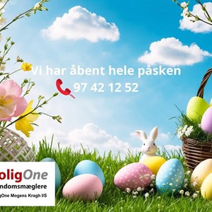 Opslagsbillede