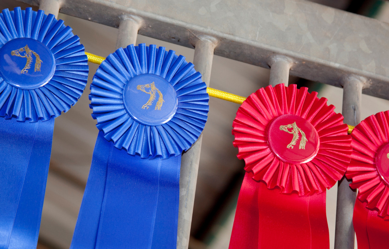 Kæmpe messe for hest og rytter i Herning