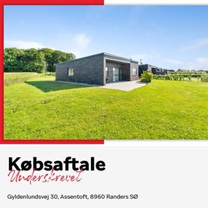 Opslagsbillede