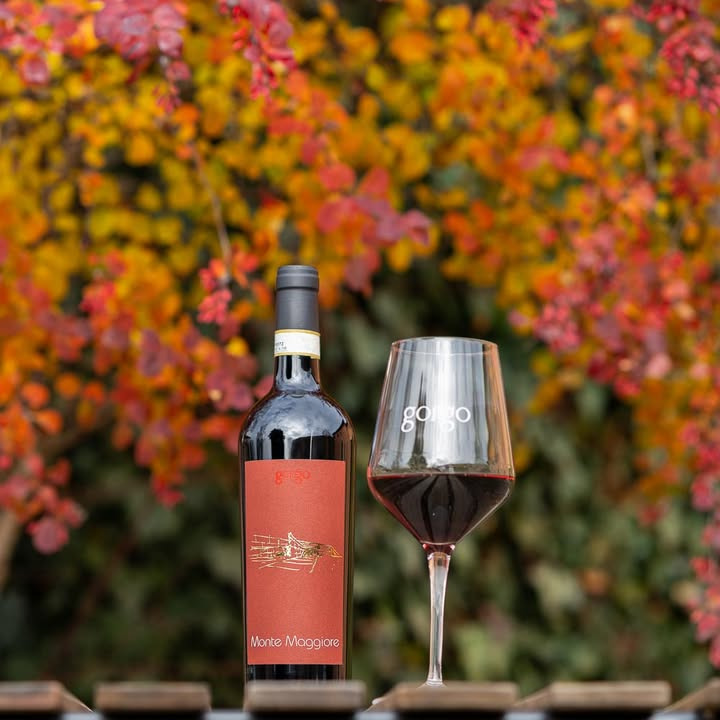 Lahvino Wine & Spirits præsenterer Bardolino på et nyt niveau