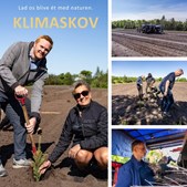 NordVestBO og NRGi planter 100-års skov for klimaet i Sunds ved Herning