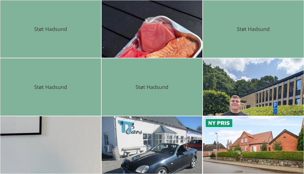 Nyt fra Nybolig Hadsund, Havnens Fisk Øster Hurup, TT CARS ApS og 2 andre