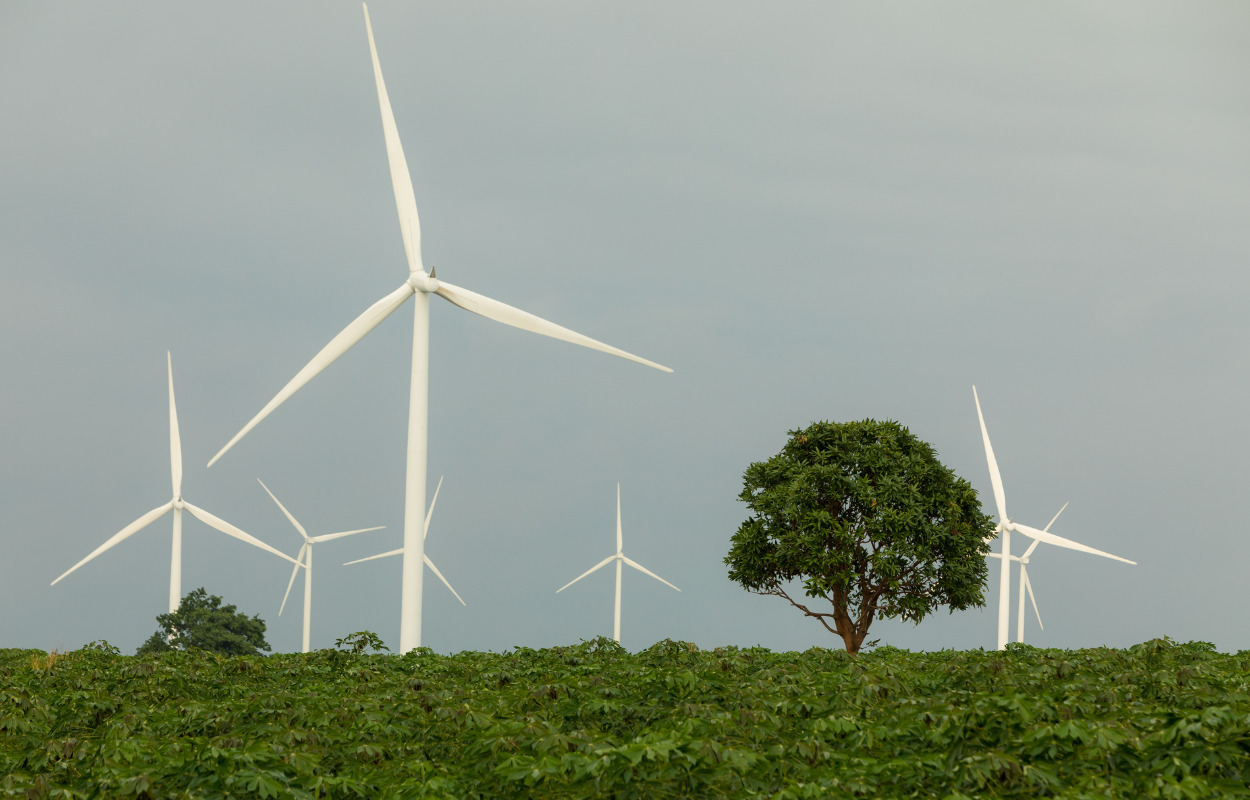 Klimaugen i uge 43 viser de gode klimahistorier