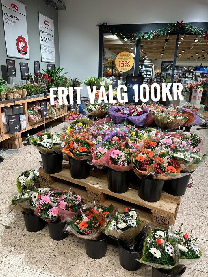 Opslagstavlen: Nyeste opdateringer fra Frederikshavn