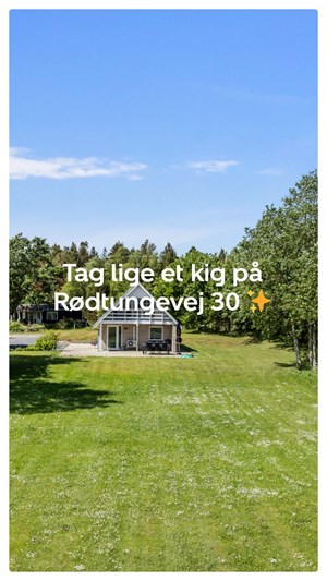 opslagsbillede