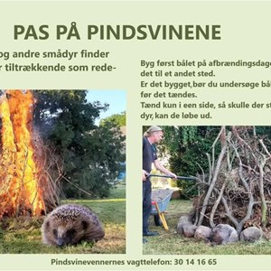 Opslagsbillede