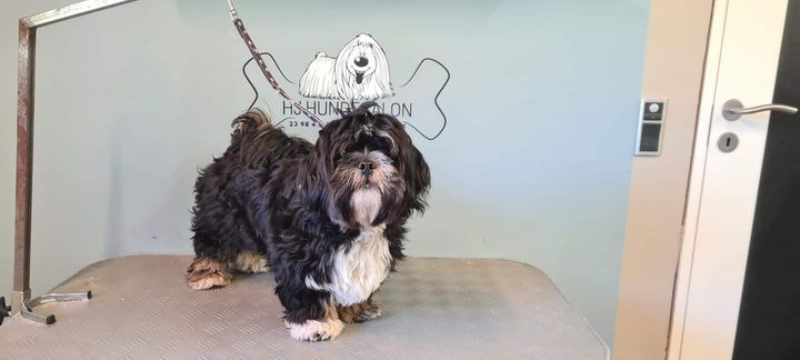 Hold trit med lokalområdet: Nyt fra Sæby