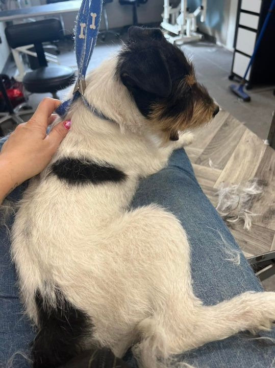 En finger på pulsen i Sæby