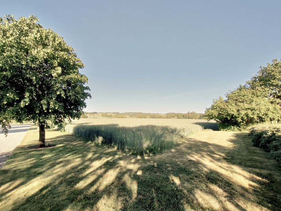 Hold dig ajour med dagens opdateringer fra Viborg