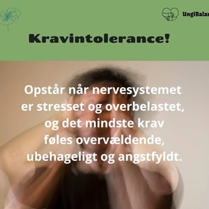opslagsbillede