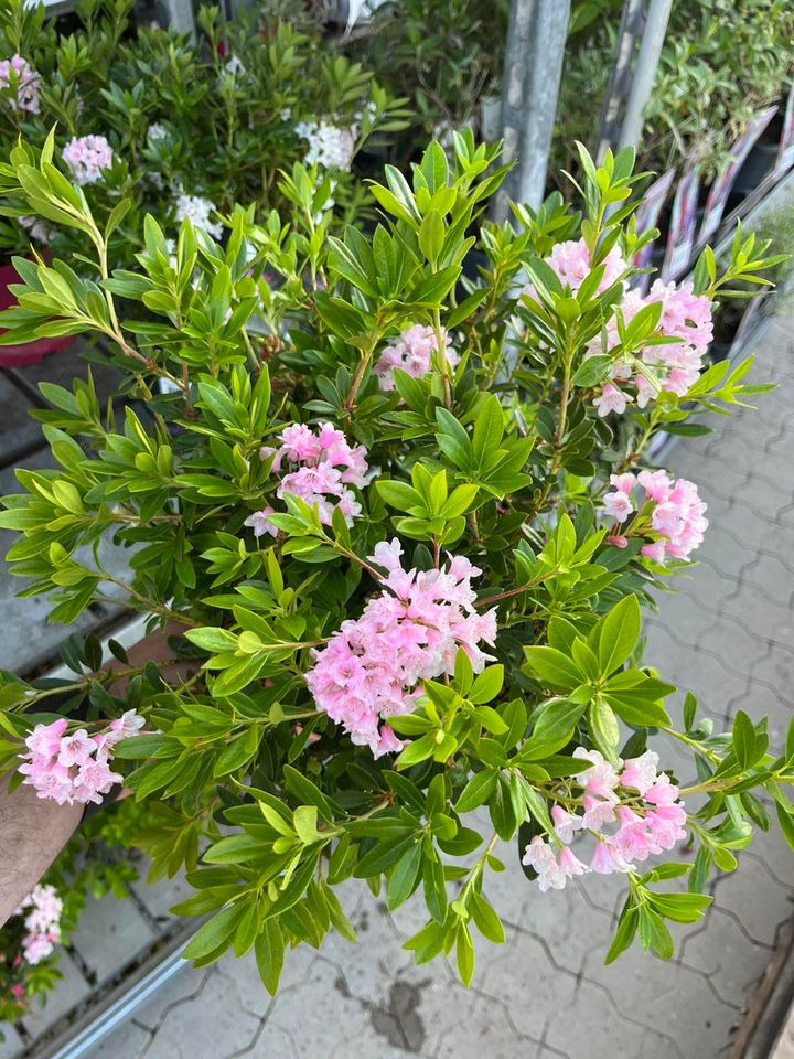 Se dagens updates fra Horsens her