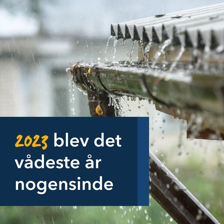 Nyt på opslagstavlen i Viborg