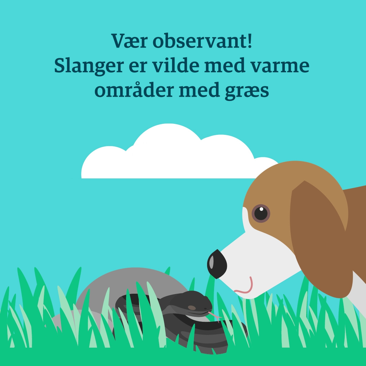 Det nyeste på Hjørrings opslagstavle