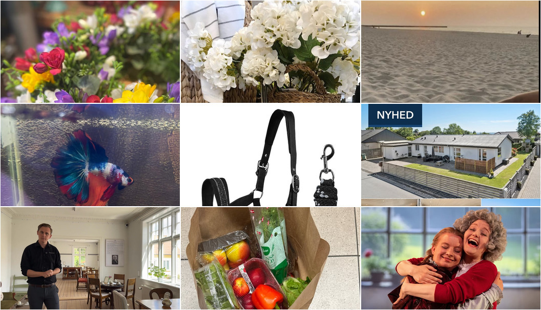 Nyt fra Florist Pernille DB, THUSGAARD LIVING, Gimsinghoved og 7 andre