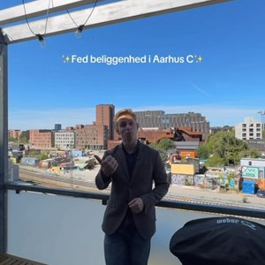 Opslagsbillede