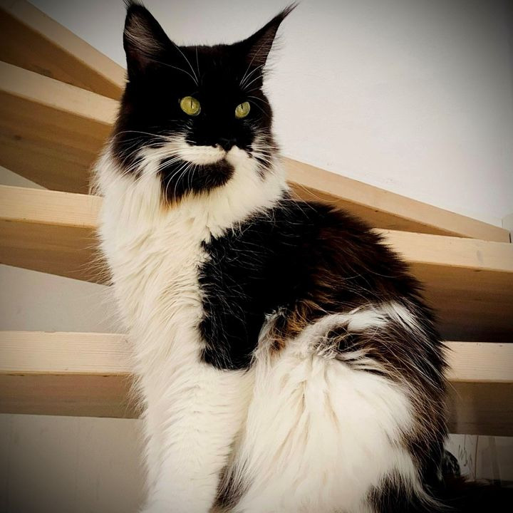 Opslagstavlen: Nyeste opdateringer fra Risskov