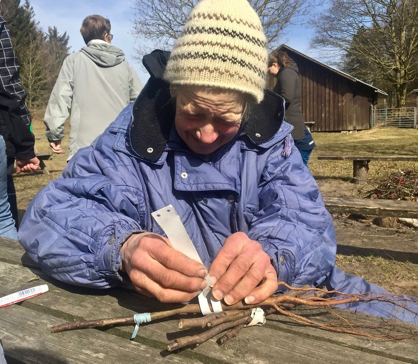 Opslagstavlen: Nyeste opdateringer fra Hjørring