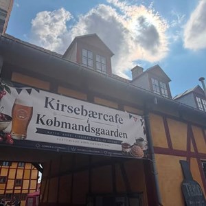 Opslagsbillede