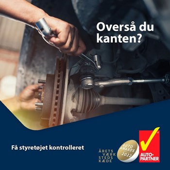 Opslagsbillede