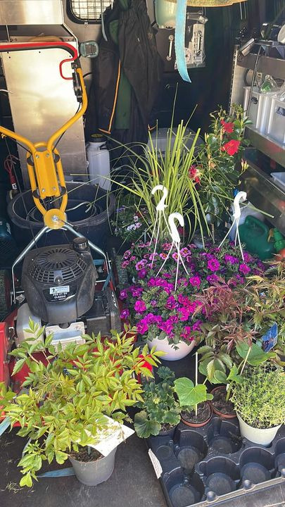 En finger på pulsen i Skive