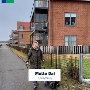 Opslagsbillede