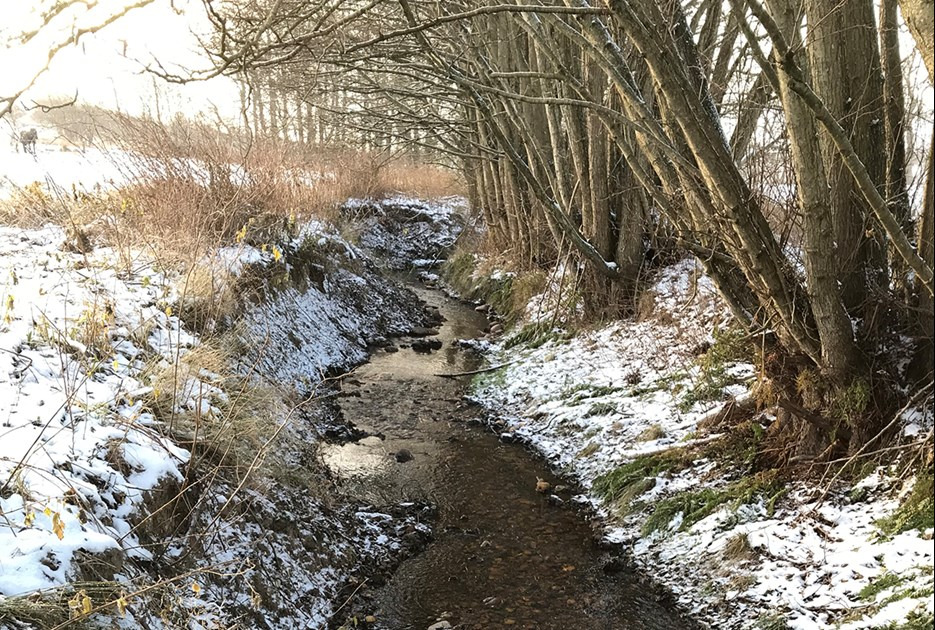 I to vandløb i Østsalling er der skabt bedre forhold for ynglende fisk