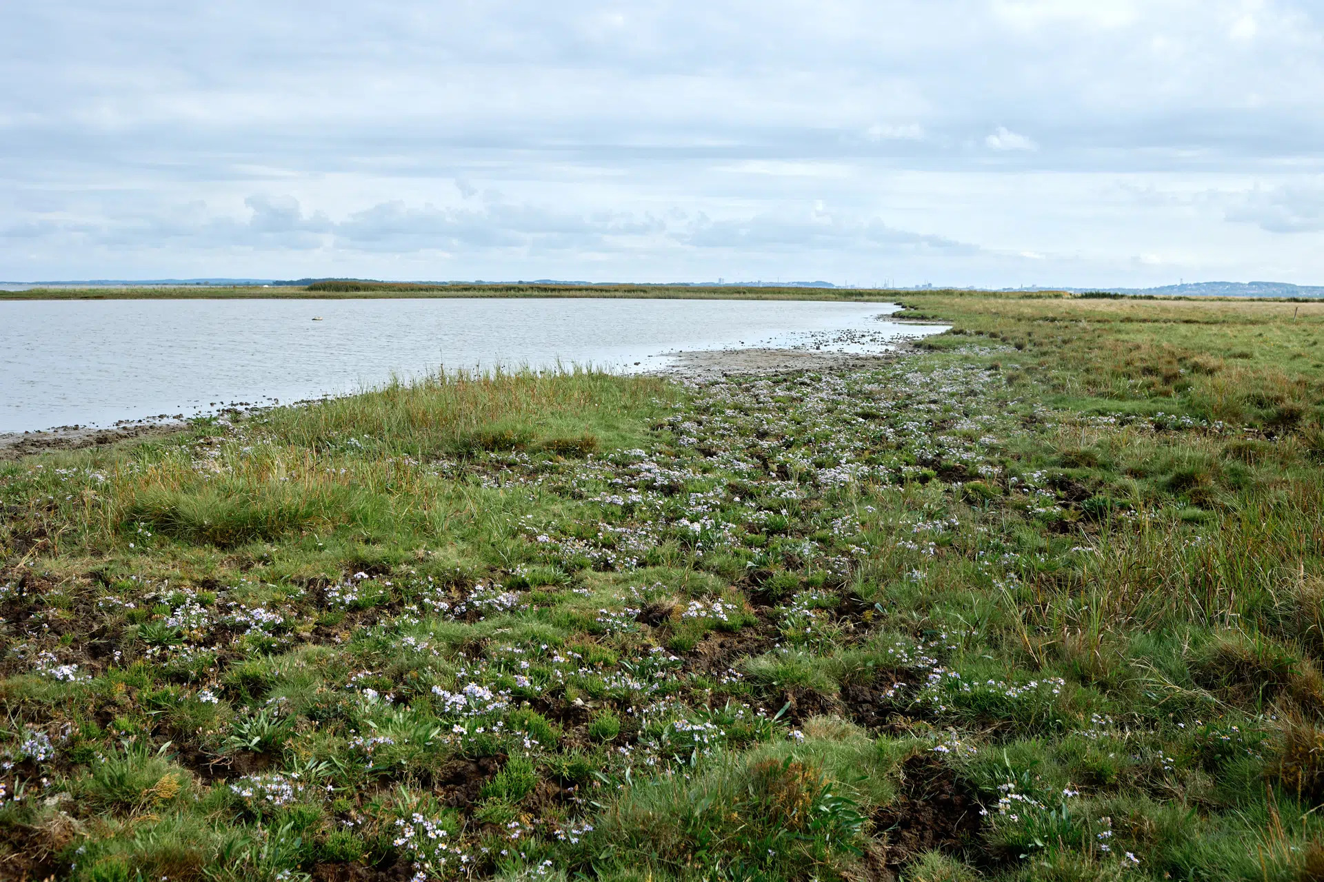 Aalborg Kommune sætter ambitiøs omlægningsplan i gang for mere natur, renere vand og mindre CO2