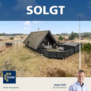 Opslagsbillede