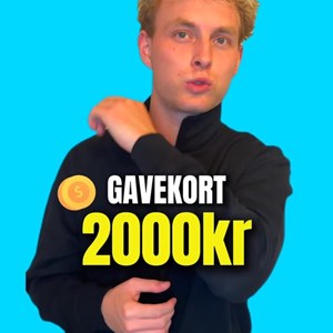 Opslagsbillede