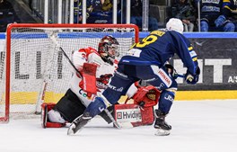 Mesterskabsdrømmen skal holdes i live for Blue Fox