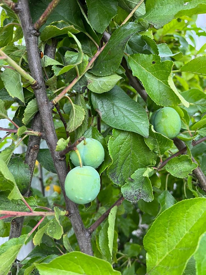 Opdatér dig her: Det nyeste fra Odder